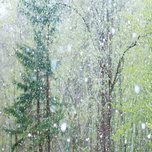 动画片乱伦免费观看
