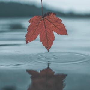 动画片乱伦免费观看
